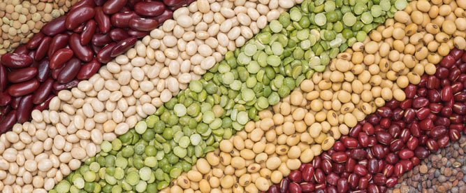 turkiye-bakliyat-uretimi-tuketimi