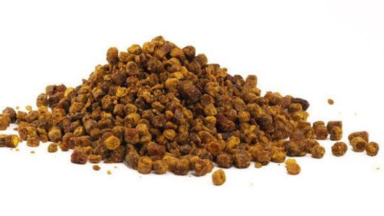 propolis neye iyi gelir propolis neye iyi gelir