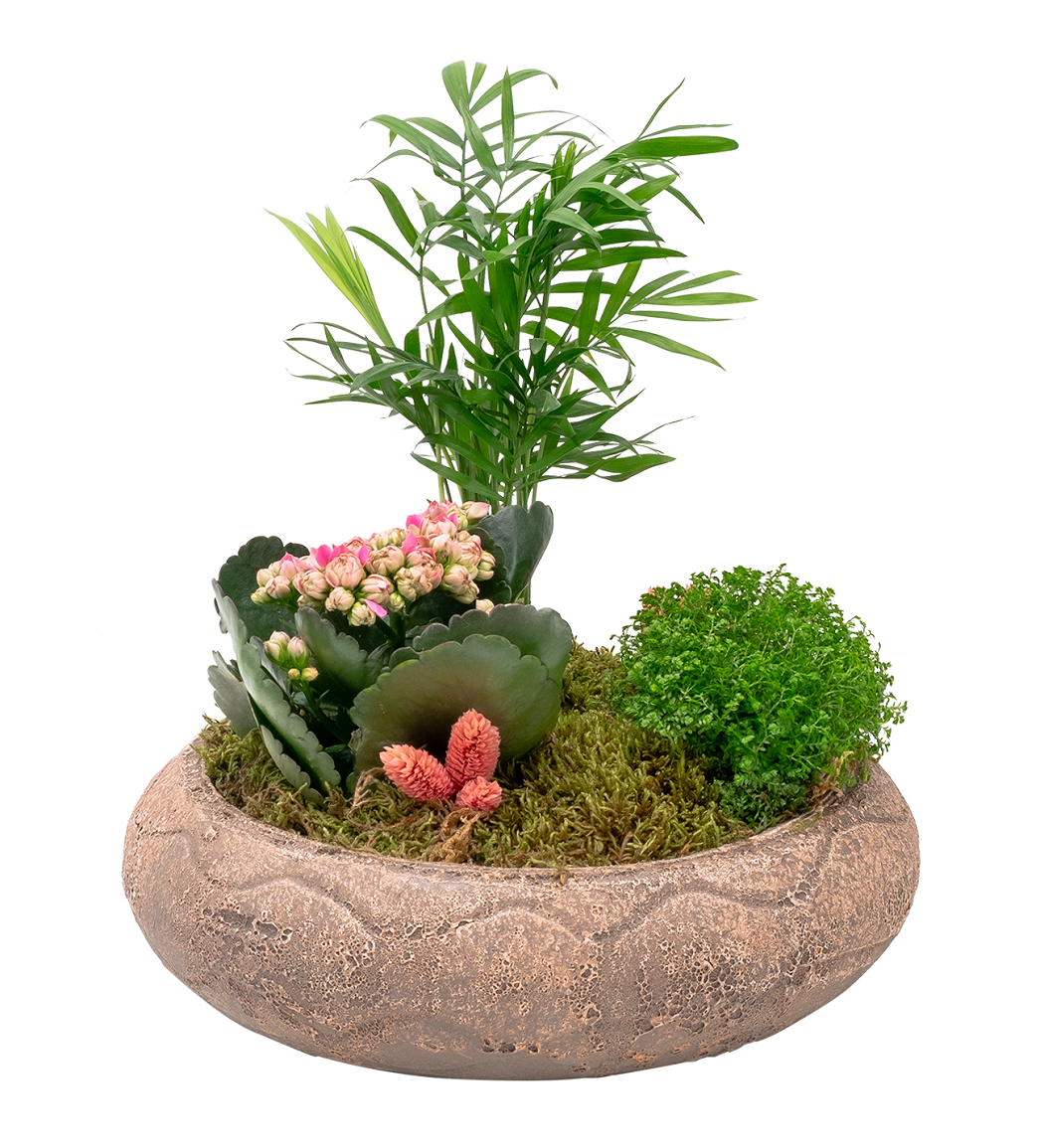 Osevio.com Seramik Saksıda Çiçek Bahçesi 152 TL Osevio.com Seramik Saksıda Çiçek Bahçesi 152 TL